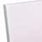 Pink Single Potted Cactus 16" x 16" Canvas Wall Art